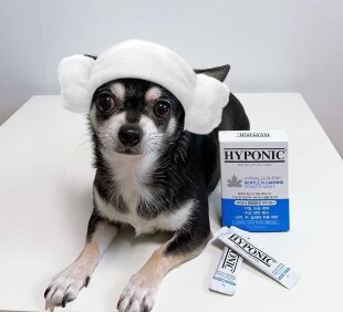 Шампунь для собак и кошек скраб-порошок отшелушивающий Hyponic (2 гр x 12 шт)